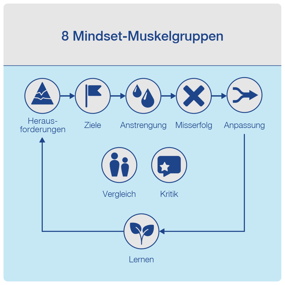 Übersicht der Mindset-Dimensionen – z. B. Umgang mit Kritik, Anstrengung, Lernen